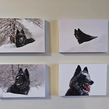 Апартаменты Hostdomus - Pastore